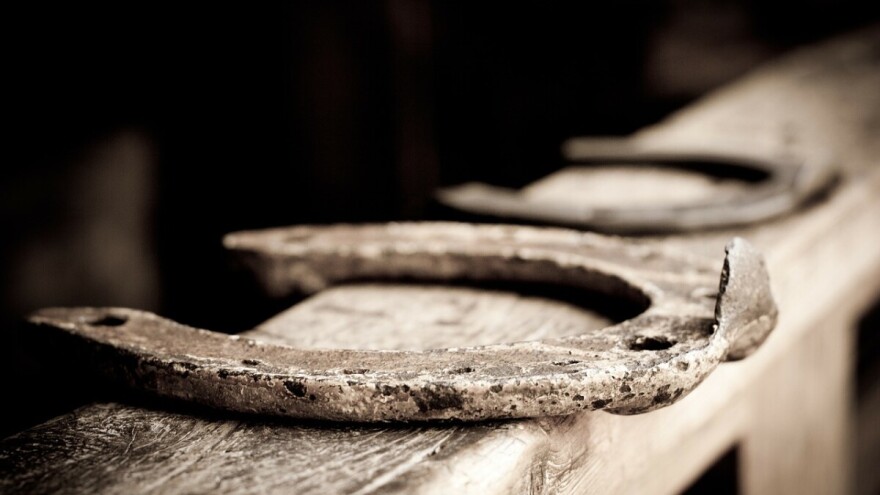 Izudarao životinje: Dva konja uginula, a još ozlijeđeni tri konja, dvije krave i tele