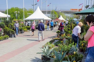 Međunarodni sajam hortikulture na Beogradskom sajmu od 17. juna