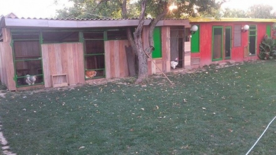 Hotel za kokoške potreban zbog reprodukcije