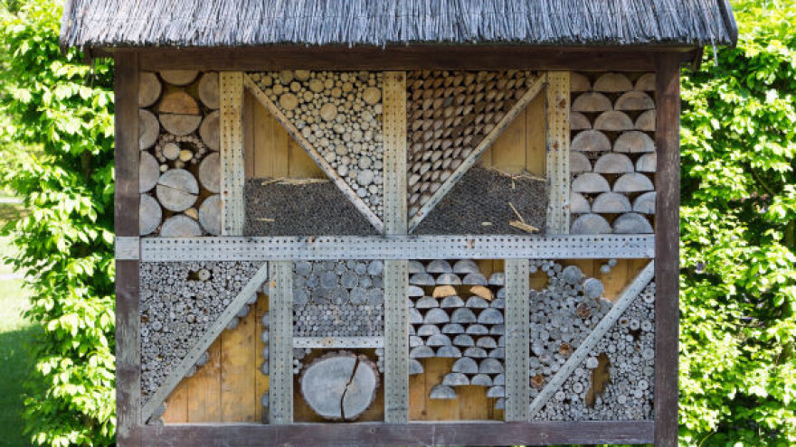 Uz pomoć insekata do zdravijih plodova