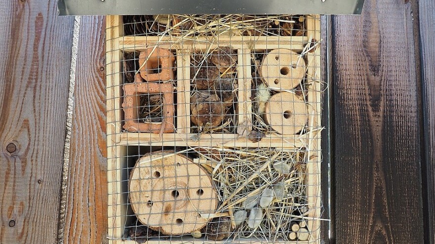 Napravite hotel za divlje pčele