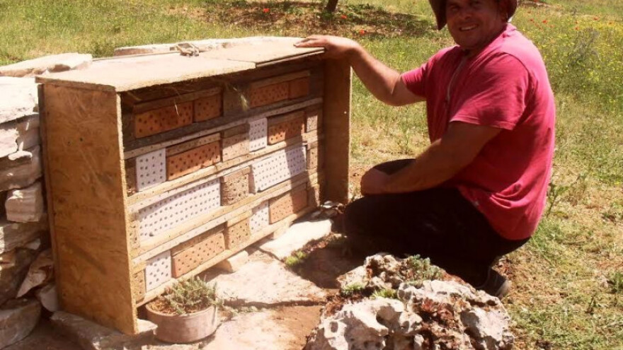 U masliniku sagradili hotele za divlje pčele