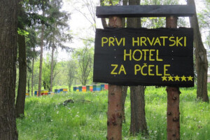 Prvi hrvatski hotel za pčele - i to sa pet zvjezdica!