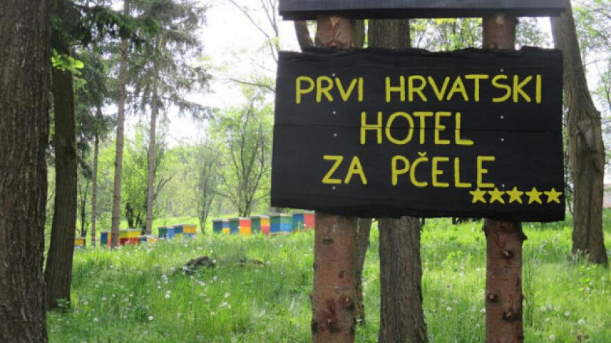 Prvi hrvatski hotel za pčele - i to sa pet zvjezdica!