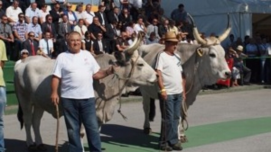 Kalendar stočarskih izložbi Hrvatske poljoprivredne agencije za 2012.