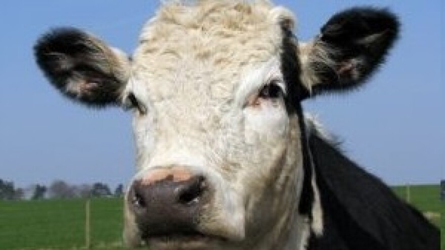 HPA - raspored predavanja o sustavu mliječnih kvota