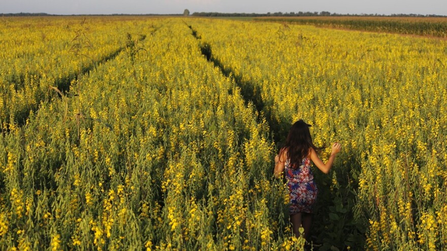 U saborsku proceduru upućen Nacrt Prijedloga Zakona o HPK