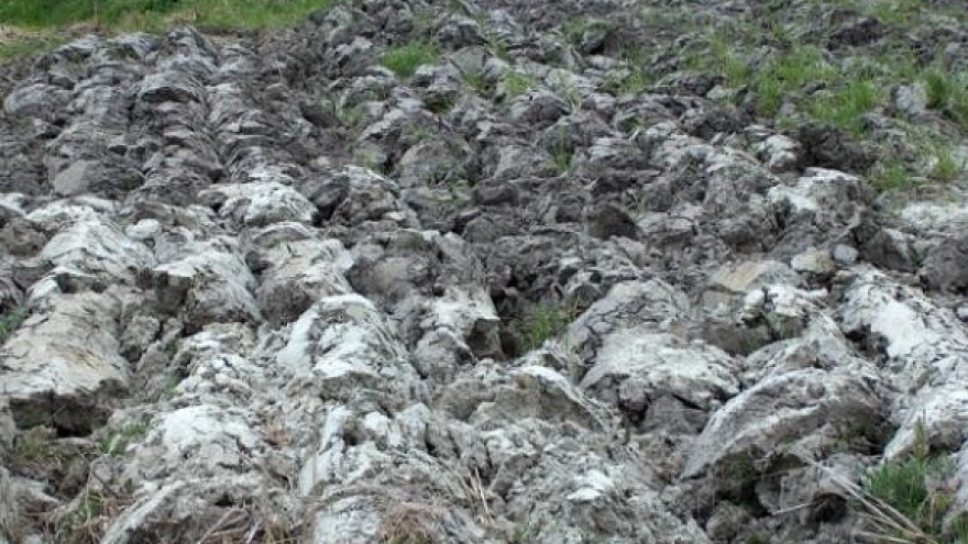 Zbog prisilnog udruživanja tužba