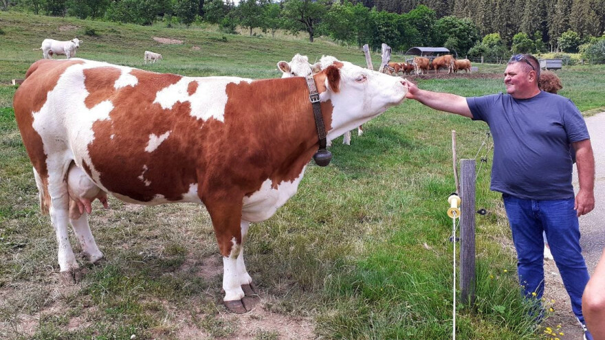 Program razvoja sektora mljekarstva do 2030. je ambiciozan, ali je li moguć?