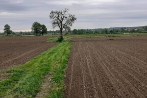 HPK traži hitne izmjene Zakona o poljoprivrednom zemljištu