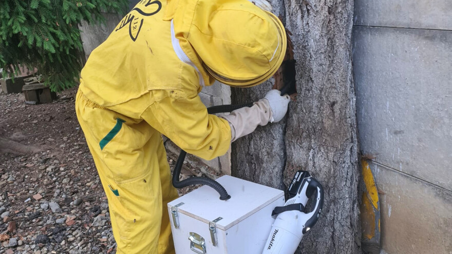 Gradska pčelarska služba 112 najavila prosvjed zbog nerazumijevanja zagrebačke vlasti