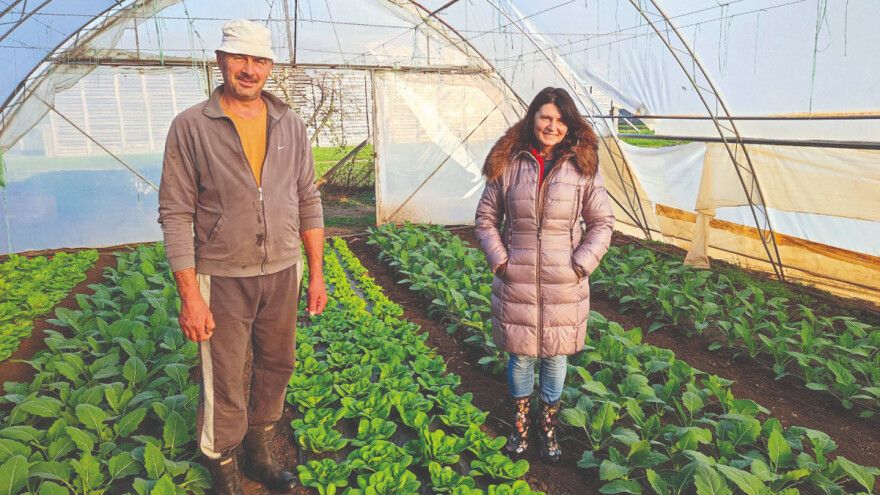 Proizvodnja povrća isplativa kad imaš više vrsta da ponudiš tržištu