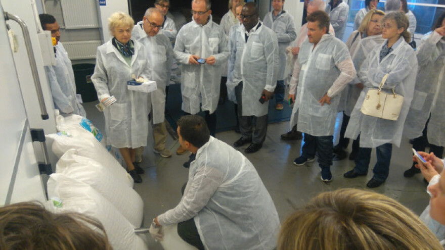 Najčešći uzroci kontaminacije hrane