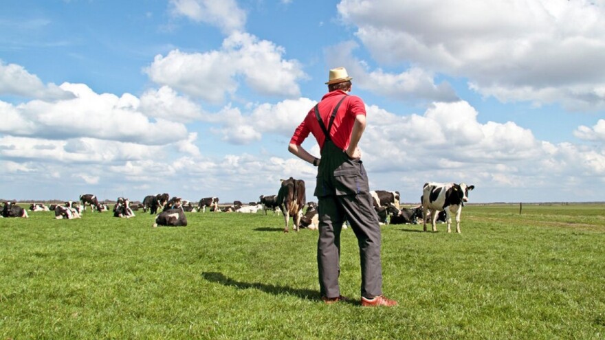 Hrana se baca, a ne stvaramo nove zalihe - popusti čvor, majstore Pero