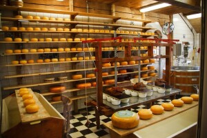 HACCP radionica za voditelje HACCP tima