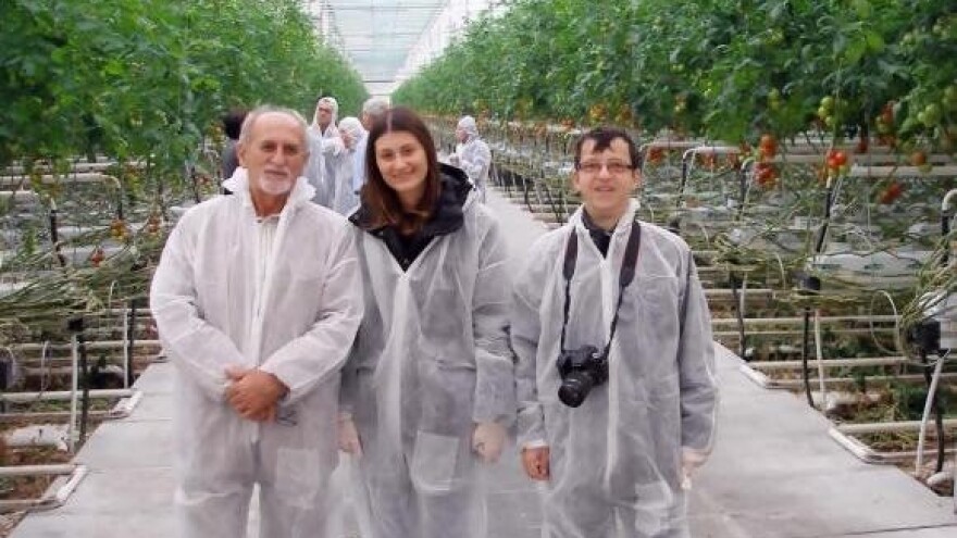 Kako do vlastite hrane?