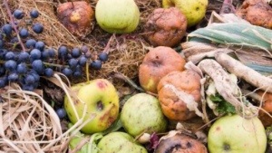 Trećina proizvedene hrane u svijetu se baca