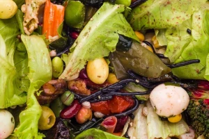 Svetska organizacija za zaštitu prirode: Bacanje hrane uništava nas i našu planetu