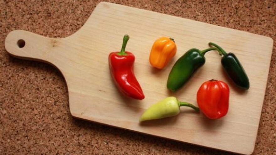 Čobanković na 4. Konferenciji o sigurnosti hrane