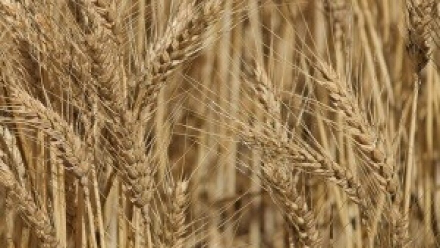 Jakovina potpisuje ugovore o sufinanciranju referentnih laboratorija za hranu