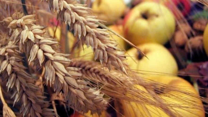 Prijeti li nam velika globalna poljoprivredna kriza?