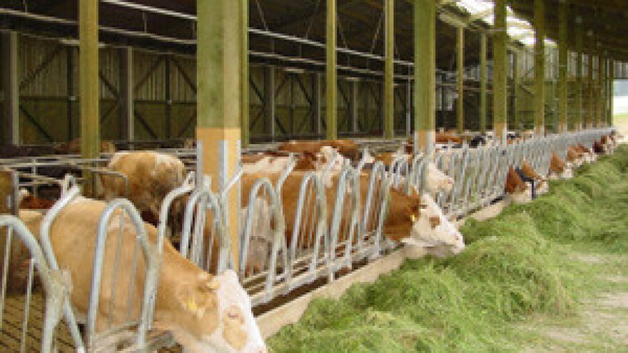 Legalizacijom objekata do EU novca