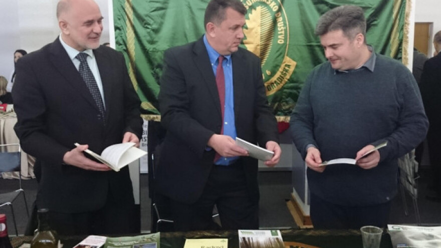 Traži se kum za klona najvećeg hrasta lužnjaka