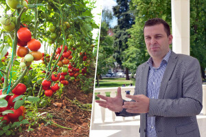 Najava gradnje geotermalne bušotine privukla investitore - Bjelovar postaje grad povrća?