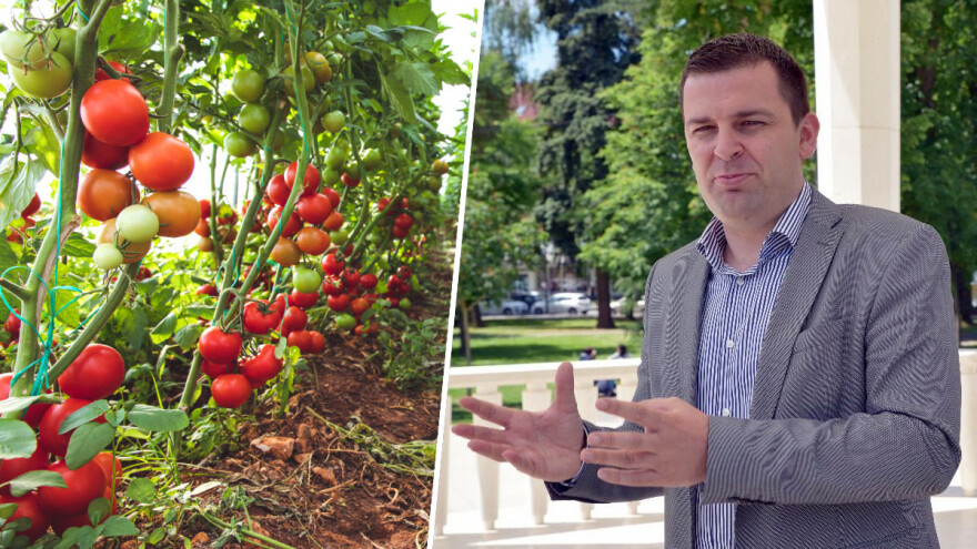 Najava gradnje geotermalne bušotine privukla investitore - Bjelovar postaje grad povrća?