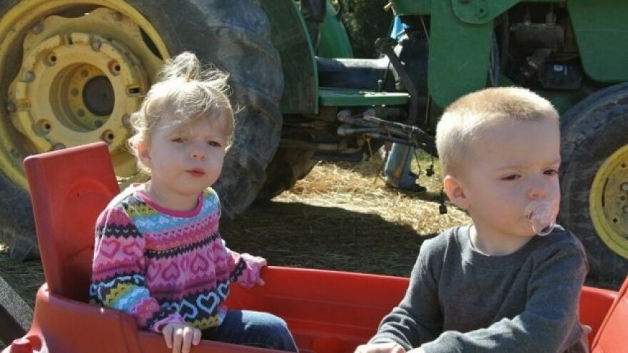 Zastupnici za smanjenje šećera u dječjoj hrani