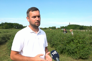 Igor Hrustek od haskapa proizvodi ljubičasti senf i - sibirski avion