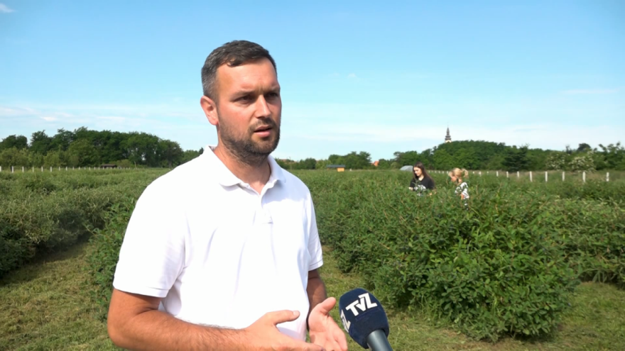 Igor Hrustek od haskapa proizvodi ljubičasti senf i - sibirski avion