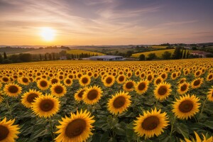 Hrvatska ima veliki "bio" potencijal