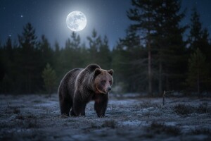 Hrvatska je stranim lovcima zanimljiva zbog medvjeda