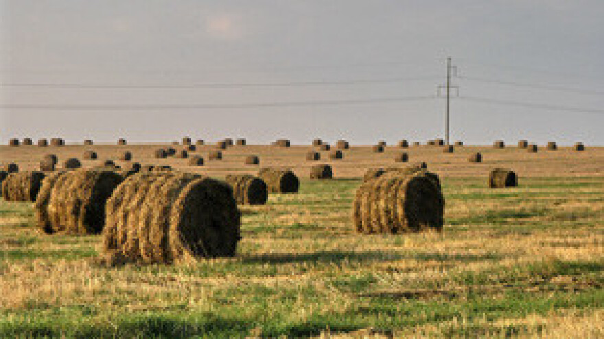 Hrvatski seljaci su spali na prosjački štap