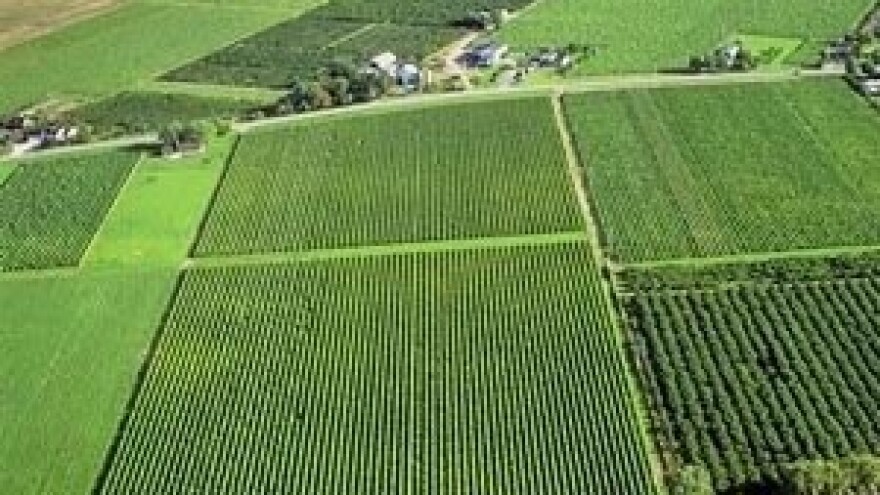 Prijevara No.1 - Ne isplati se držanje malog broja životinja