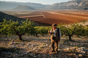 Hrvatska treba 63.500 hektara novih nasada