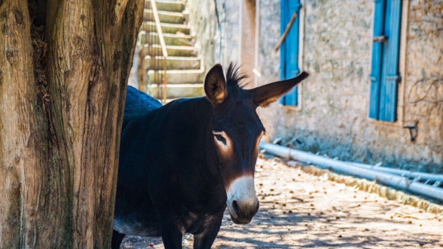 34,7 milijuna noćenja u objektima u domaćinstvu!