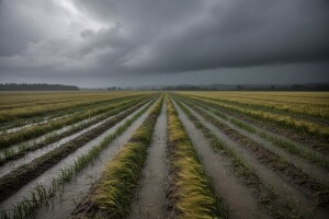 Hrvatska u crvenom: u polja ćemo sa čamcima?