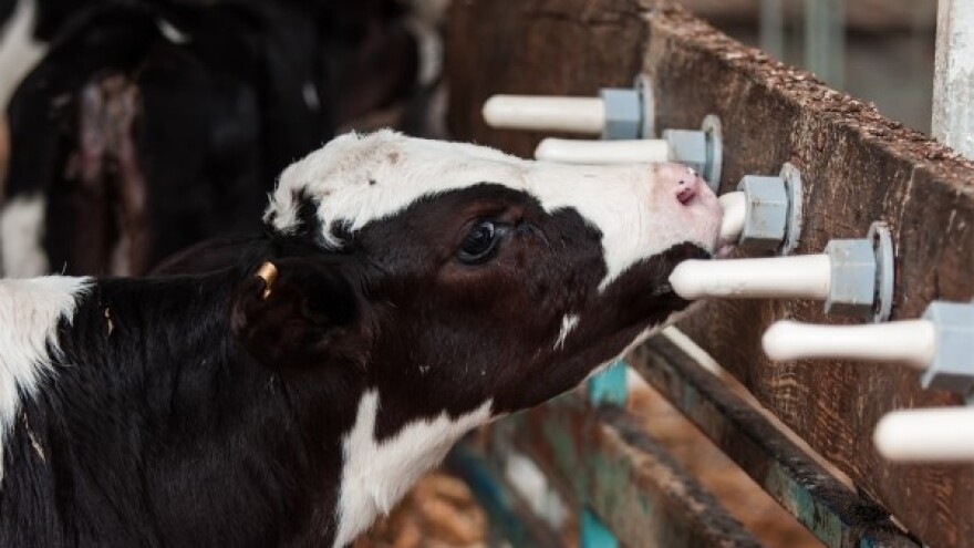 Organizacija mljekarstva prema europskim standardima