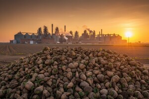 Hrvatske šećerane čeka velika konkurencija