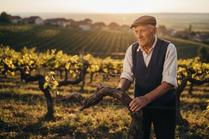 Hrvatske vinare čekaju teški dani u Europskoj uniji