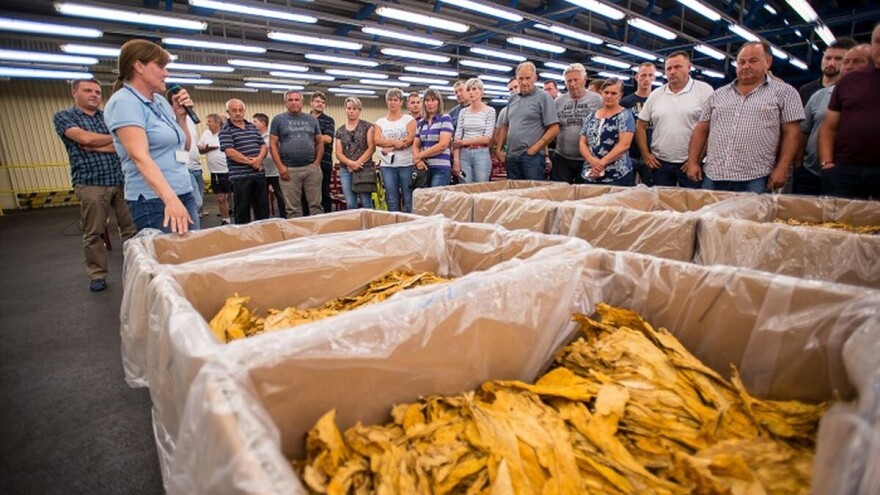 Hrvatski duhani najavili nastavak trenda povećanja otkupne cijene