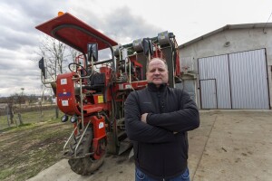 Kako su duhanci prešli na strojnu berbu: Želimo povećati proizvodnju i profit