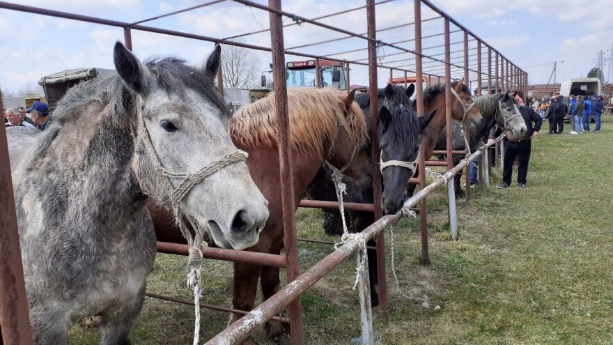 Uzgajivačima hladnokrvnjaka stižu potpore, ali i pomoć u zaštiti od velikih zvijeri?