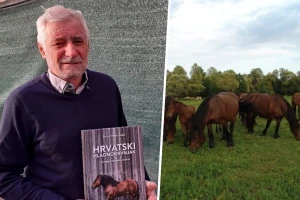 Šklempe: Imamo sve više konja, ali sve manje stručnjaka u konjogojstvu