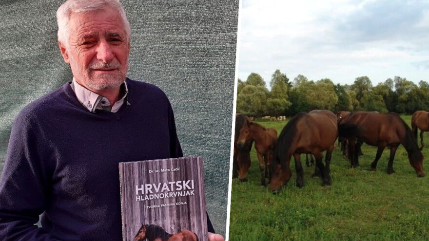 Šklempe: Imamo sve više konja, ali sve manje stručnjaka u konjogojstvu