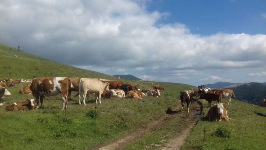 Udruga Hrvatski krški pašnjaci o evidenciji uporabe poljoprivrednog zemljišta
