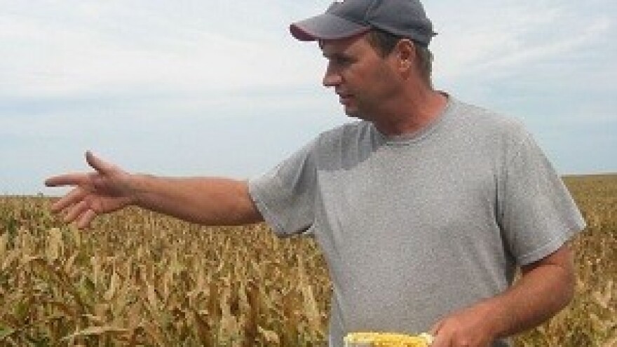 Što će nam uvozni proizvodi, kad imamo svoje?