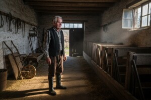 Hrvatsko mljekarstvo i službeno najlošije u EU